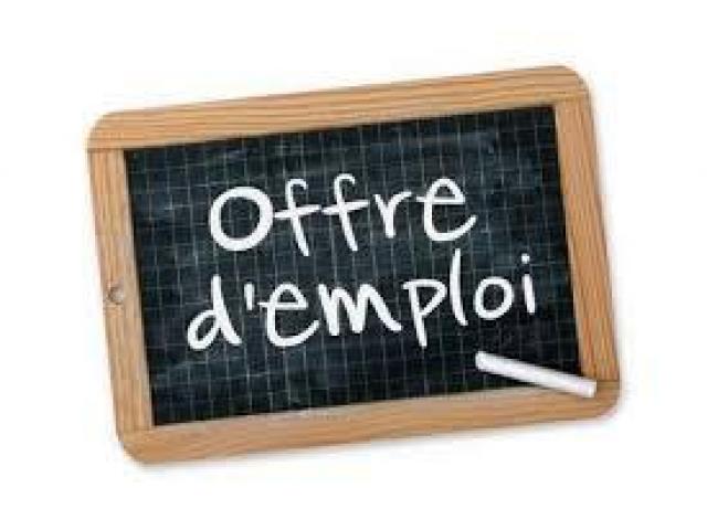 MOBiDYS cherche un chef de projet technique