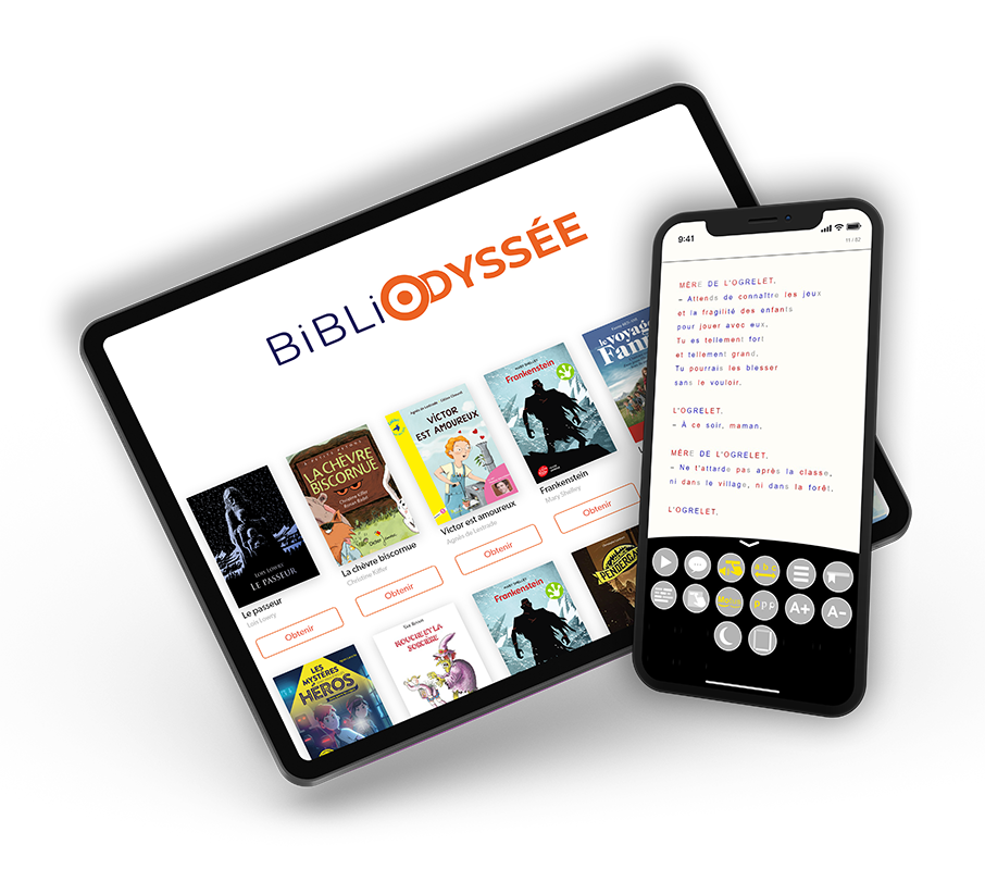 Interface Bibliodyssee