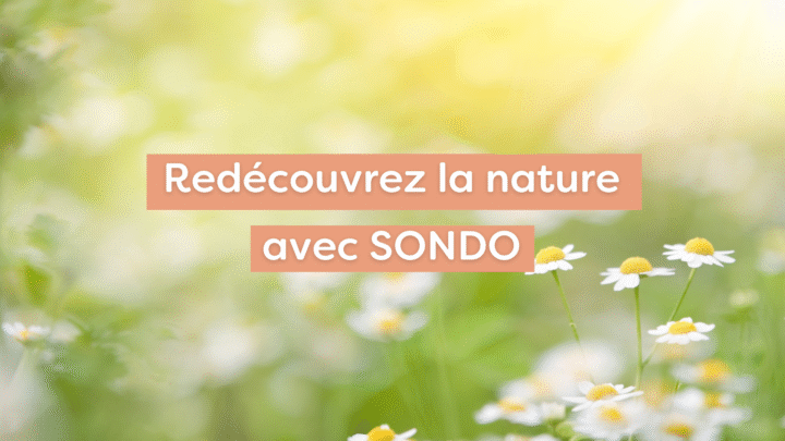 Article lectures de printemps